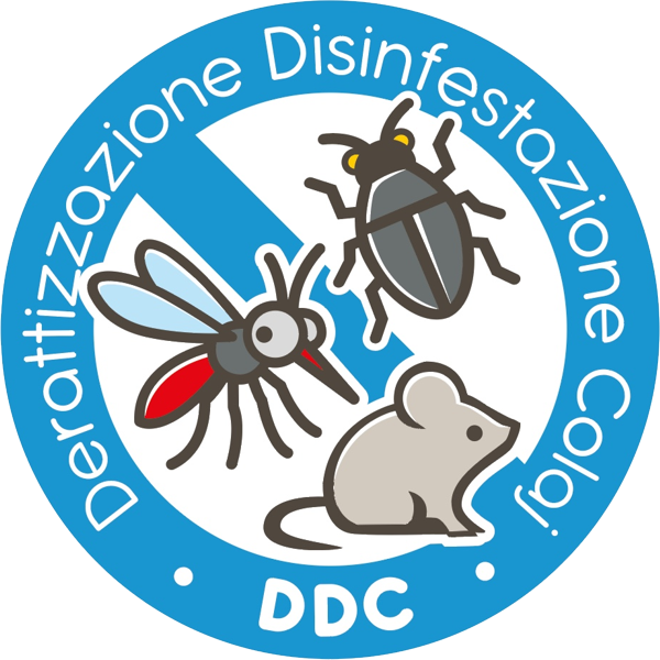 DDC Legnano